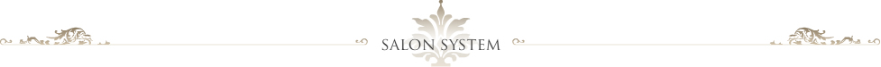 salonsystem